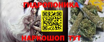 гидропоника Краснознаменск