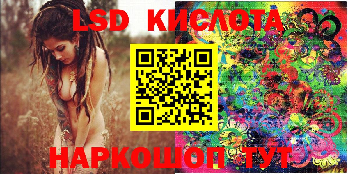 A PVP Калининград