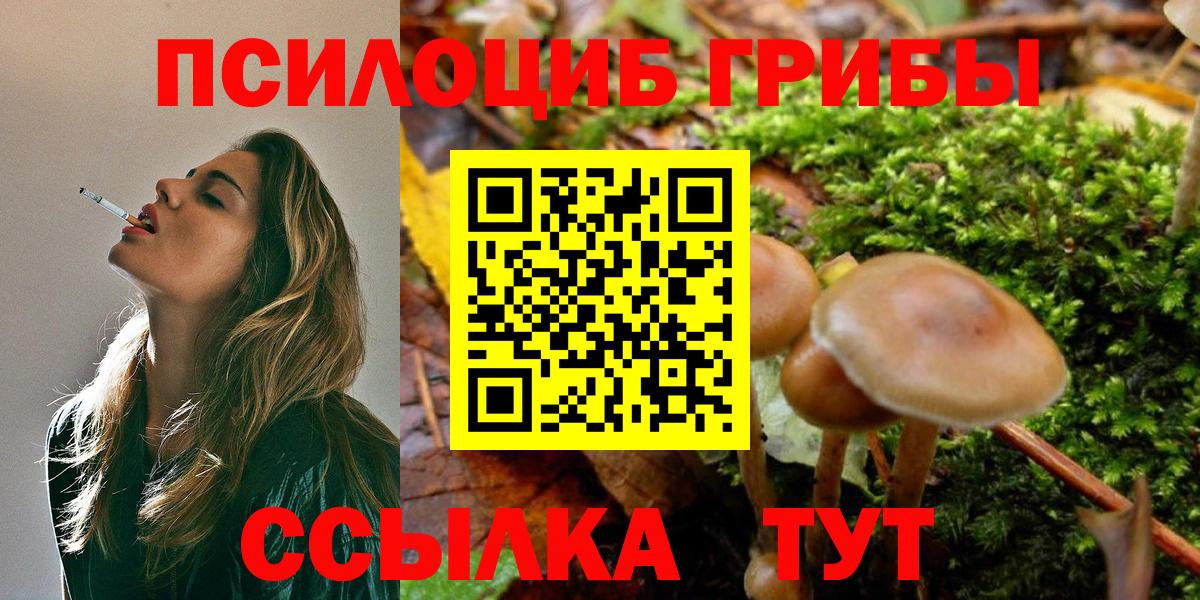 Псилоцибиновые грибы GOLDEN TEACHER Калининград