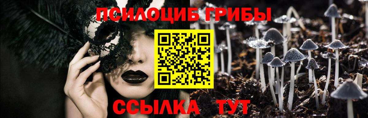 Калининград  Псилоцибиновые грибы Psilocybe  где можно купить наркотик  Псилоцибиновые грибы мицелий  Вход с VPN 